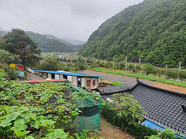 강원도 삼척시 신기 여행 사진