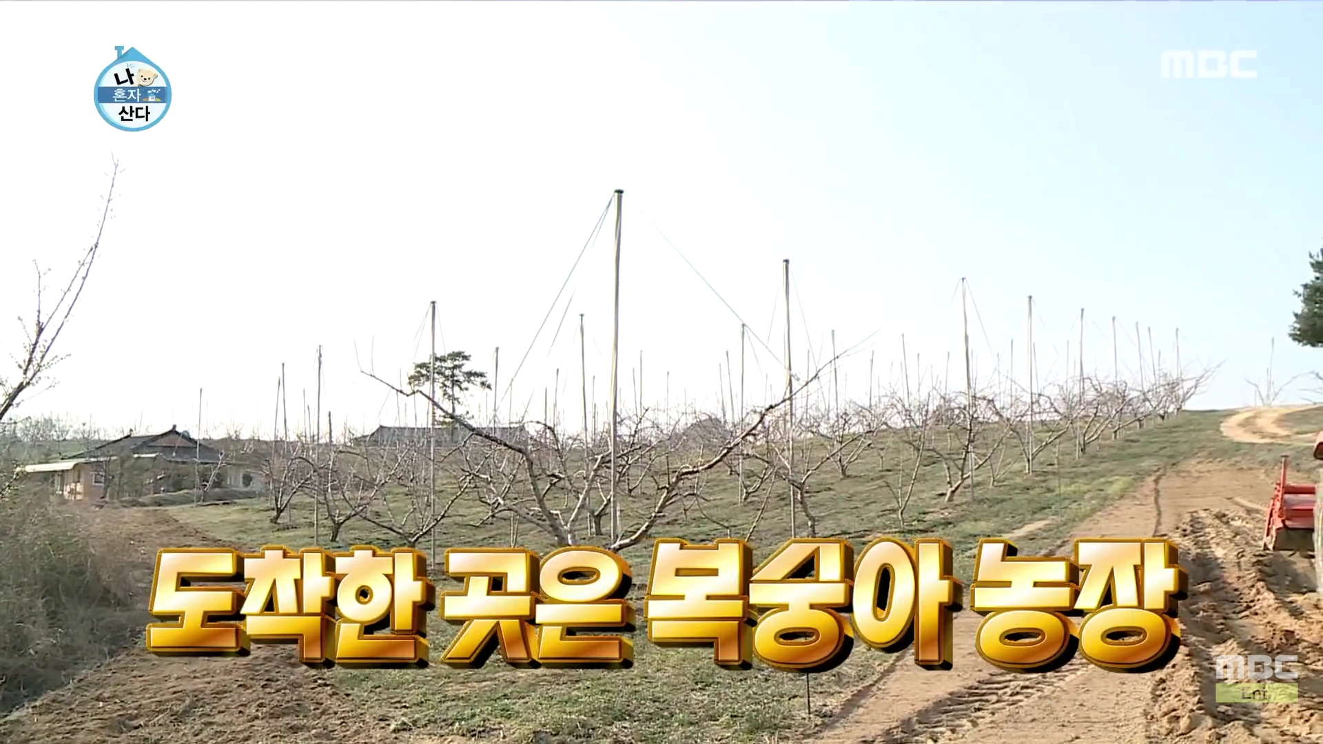 복숭아아저씨 이미지