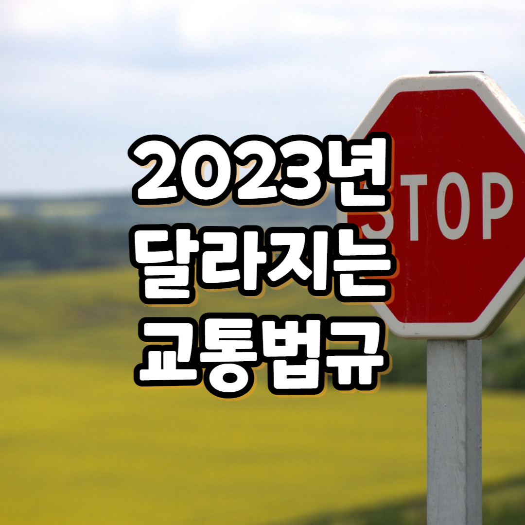 2023년 달라지는 교통법규