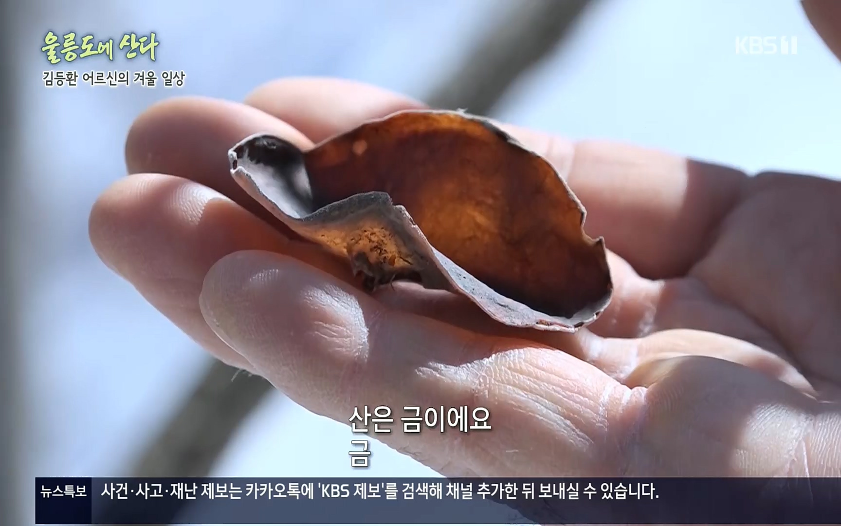 다큐울릉도에산다.E01.220909p.H264-F1RST.mp4_20220912_180603.388.jpg