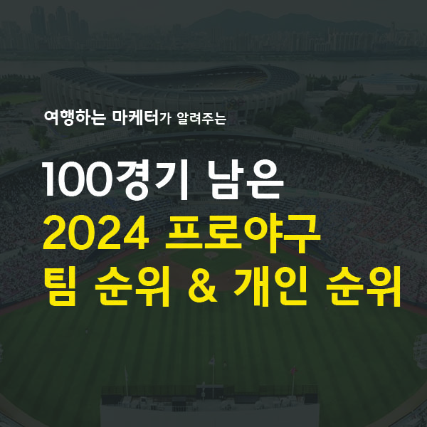 2024 프로야구 팀순위 개인 순위