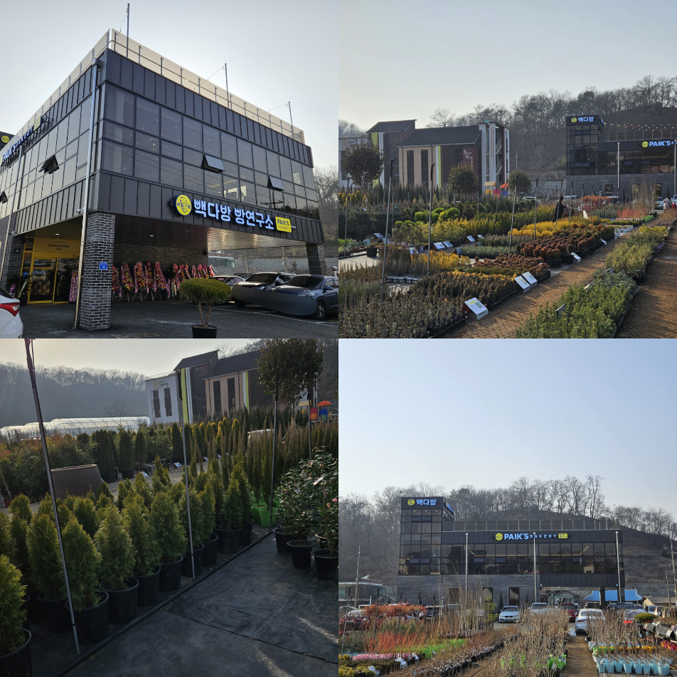 화성꽃도매 이미지