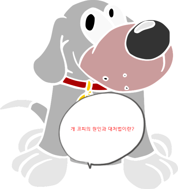  개 코피의 원인과 대처법이란?