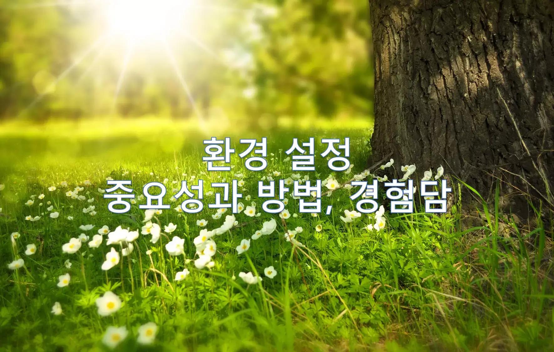 환경 설정 중요성과 방법&#44; 경험담