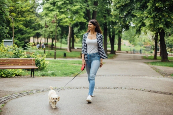 강아지와 산책하는 여자