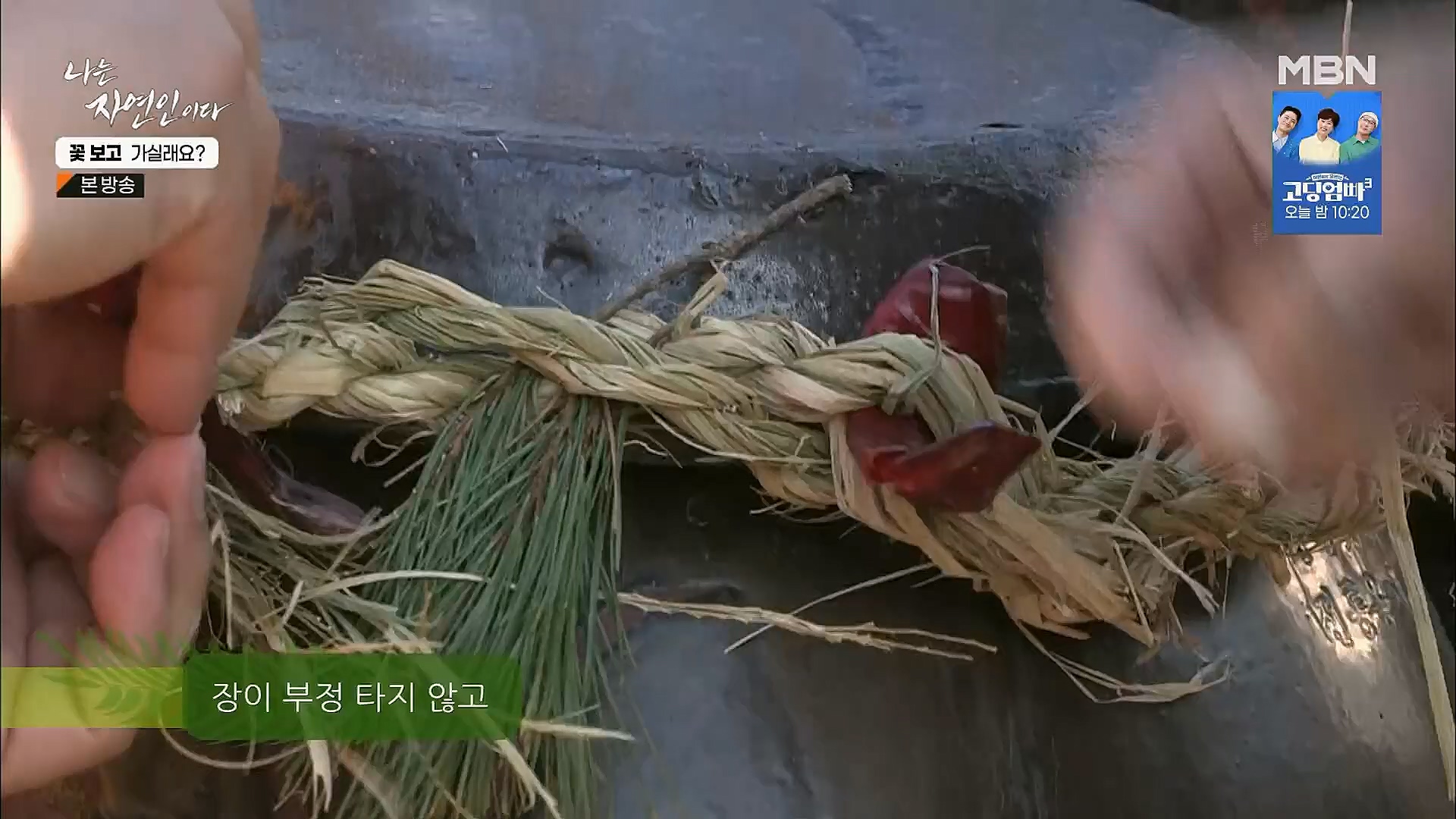 나는 자연인이다.E545.230315p.H264-F1RST.mp4_20230316_212113.492.jpg