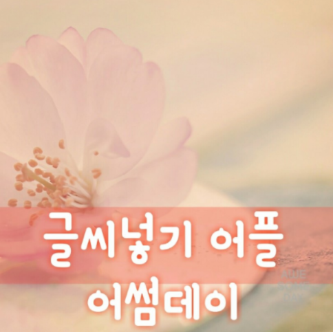  사진에 글씨넣는 방법 어플