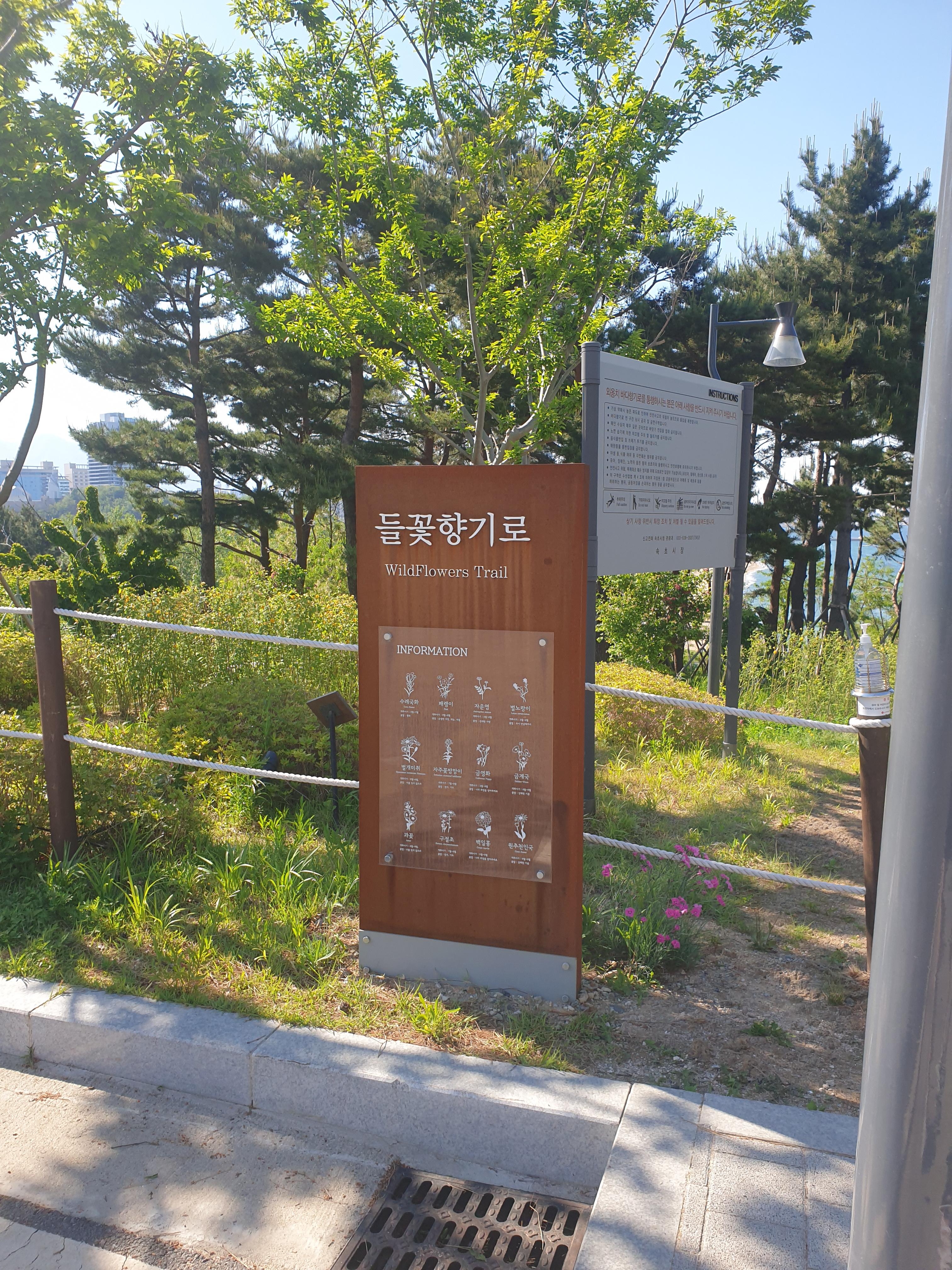 속초 롯데리조트 스위트 더블 후기 워터파크 인피니티풀 이용 안내