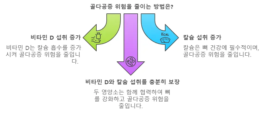 칼슘과 비타민 상호작용