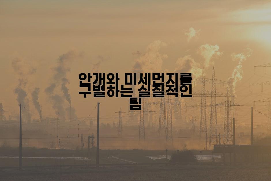 안개와 미세먼지를 구별하는 실질적인 팁