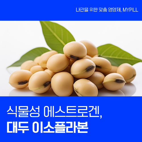 식물성 에스트로겐인 대두이소플라본 효능과 부작용