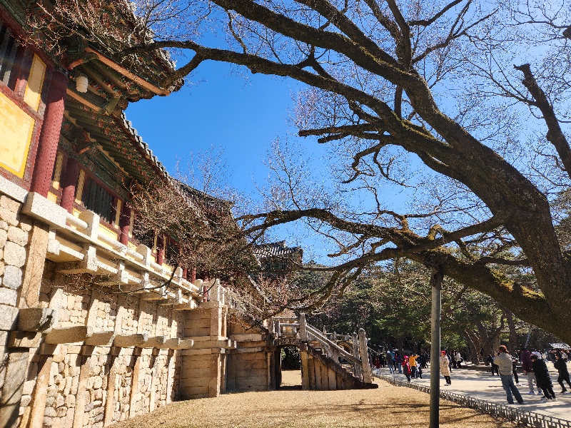 불국사 전경