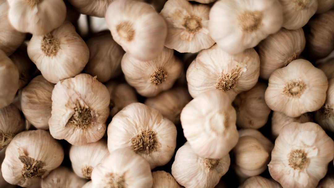 Garlic chive.