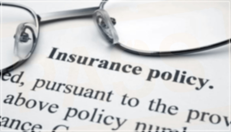 insurance polycy 위 안경