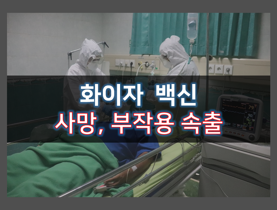  화이자 백신 부작용 소장 괴사