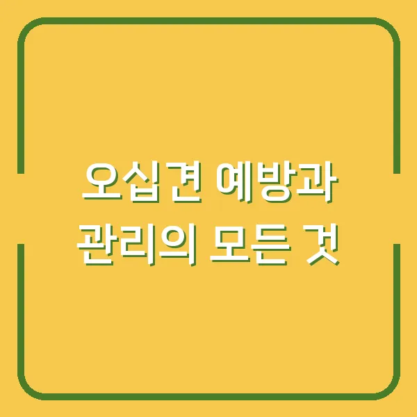 오십견 예방과 관리의 모든 것