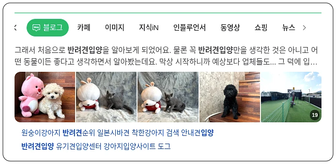 반려견 입양_1_subsection
