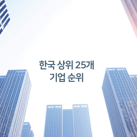 한국 상위 25개 기업 순위