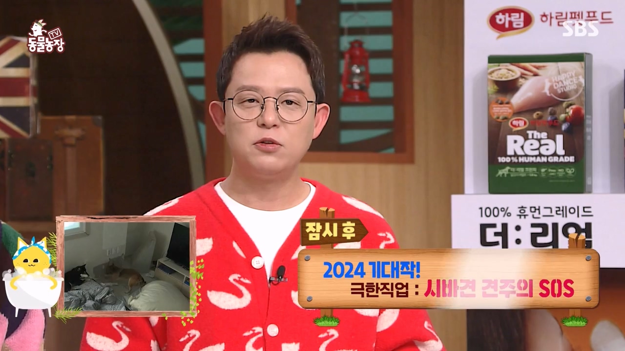 TV 동물농장.E1154.240115p-NEXT.mp4_20240114_184334.405.jpg