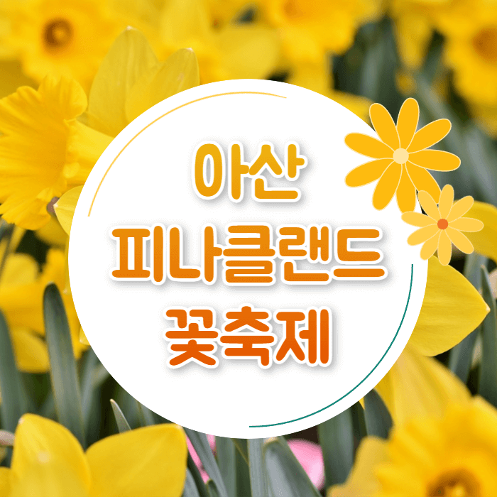 피나클랜드 튤립 수선화 봄꽃 축제 불꽃축제