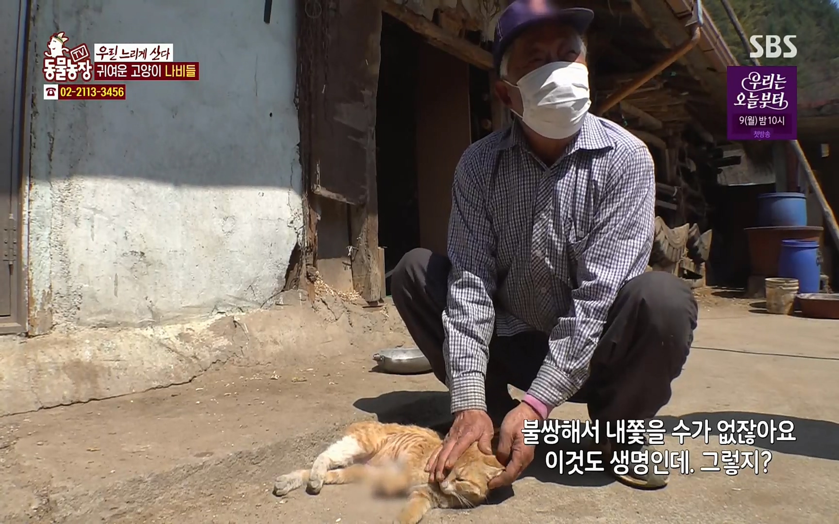 TV 동물농장.E1067.220501p.H264-F1RST.mp4_20220501_183813.366.jpg