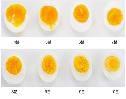 몇분 계란 반숙 [달걀]삶은 달걀