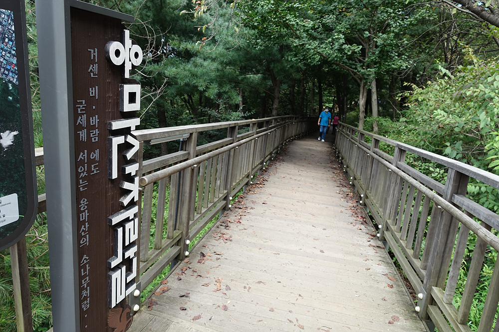  용마산 자락길 (중랑구 용마산공원에서 망우산까지)