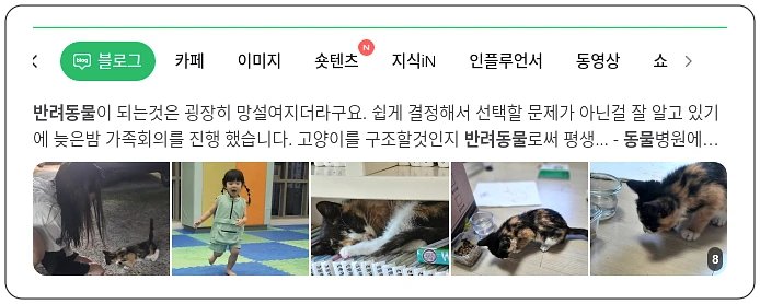 반려동물 책임감 있는 입양_1_subsection