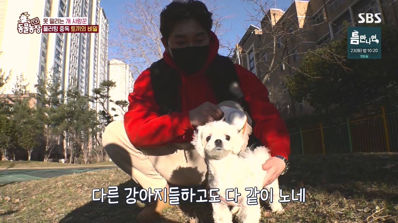 TV 동물농장.E1167.240415p-NEXT.mp4_20240414_160926.594.jpg