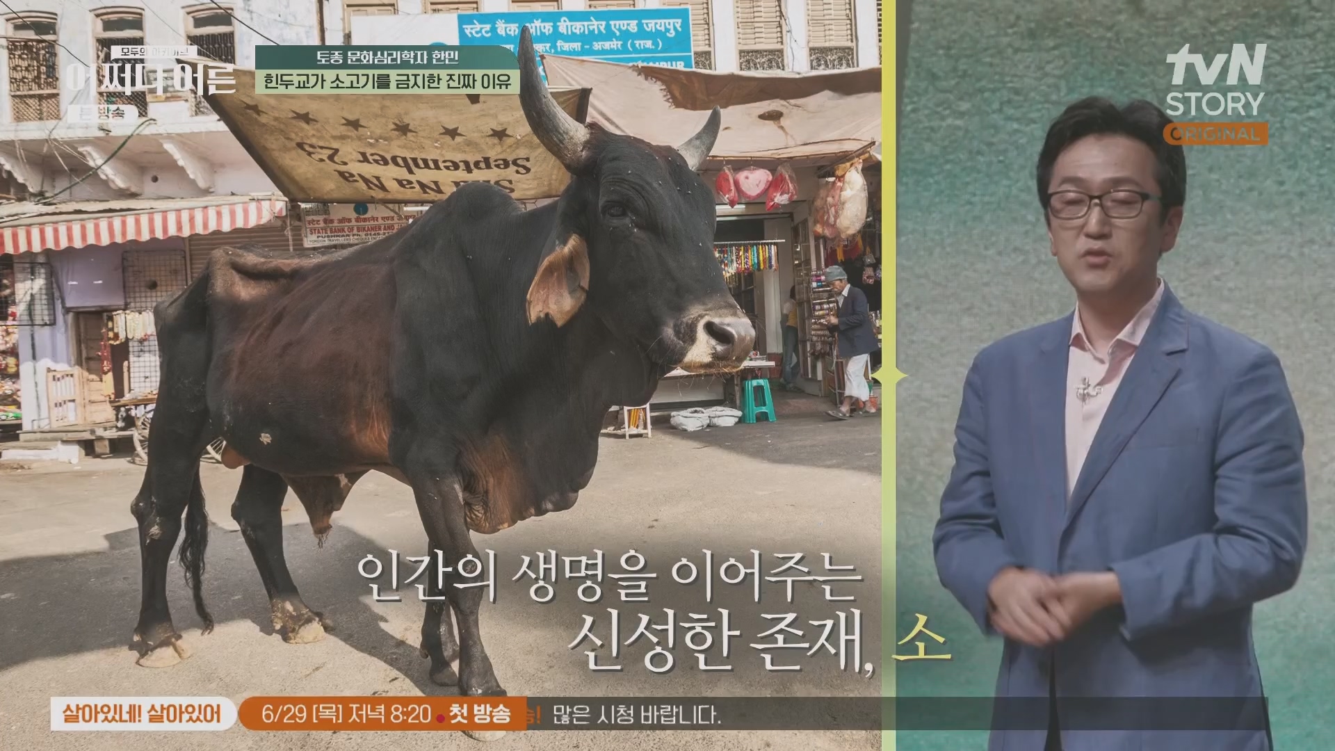 어쩌다 어른.E38.230627p.H264-F1RST.mp4_20231110_215843.272.jpg