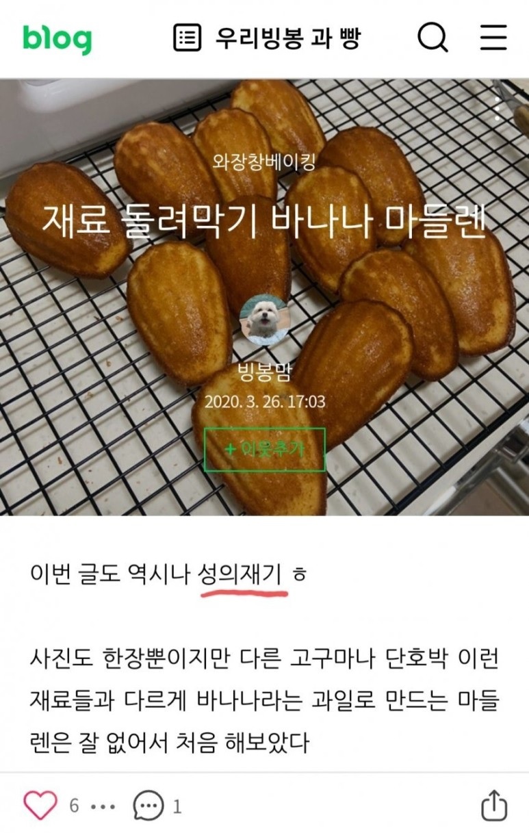 나는솔로 정숙 저격 정자 정순 디씨 캡쳐 유튜브 네이버블로그