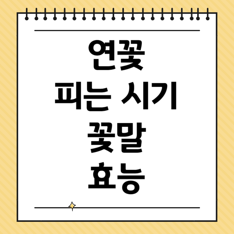 연꽃의 피는 시기, 꽃말, 그리고 효능