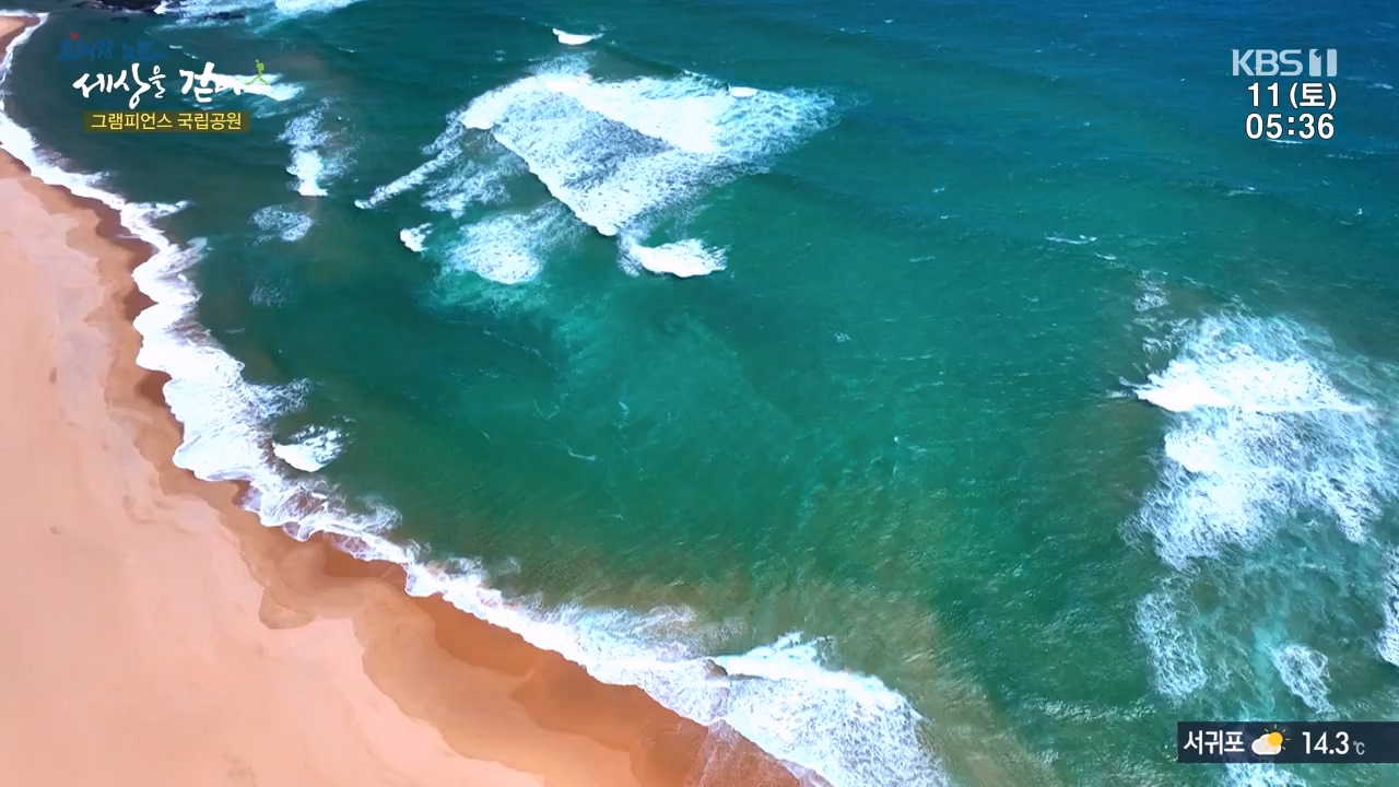 트레킹노트 세상을 걷다.E296.231112p-NEXT.mp4_20231111_182054.105.jpg