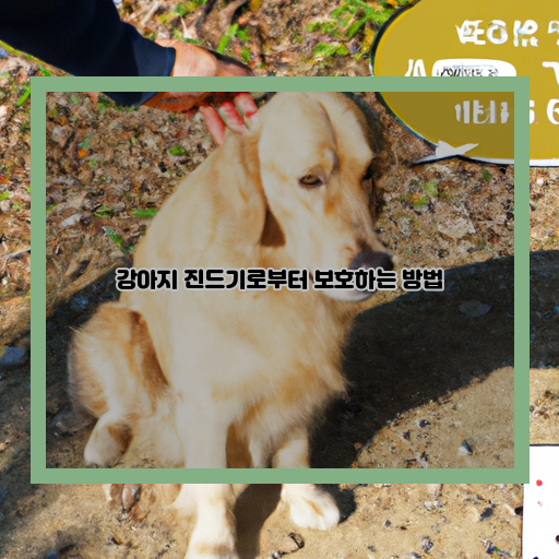  강아지 진드기 예방법, 보호법에 대해 알아보자!