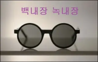 백내장과 녹내장