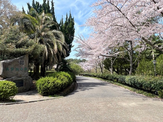 제주 한라 수목원