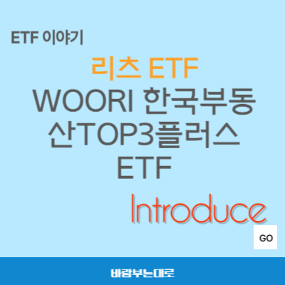 WOORI 한국부동산TOP3플러스 ETF (480460): 국내 핵심 리츠 TOP3 집중투자