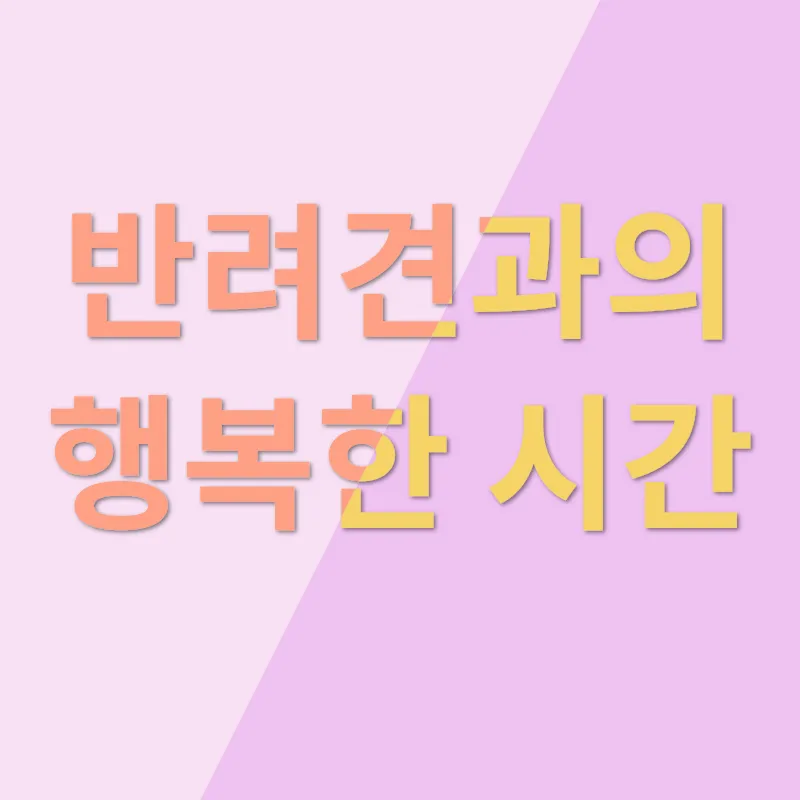 반려견 채택_3