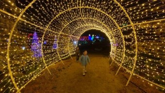 태안 빛 축제