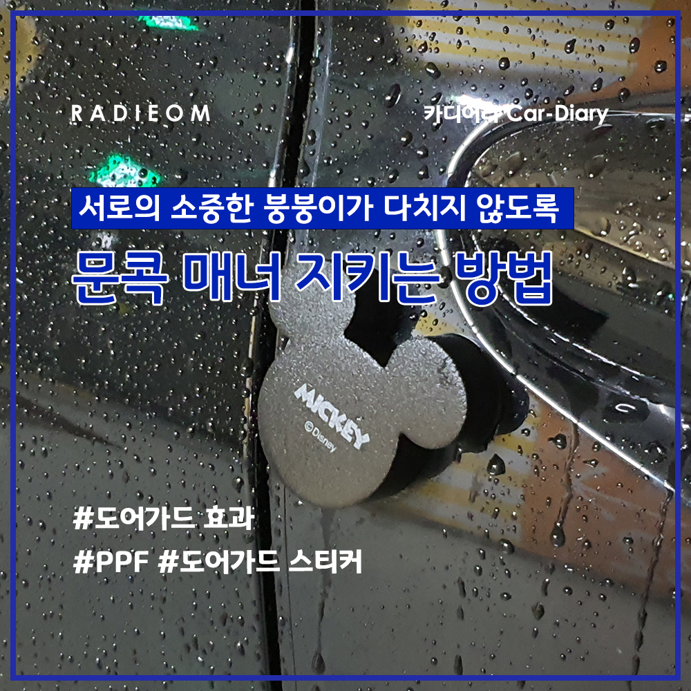  소중한 내차를 지키는 문콕 매너 (문콕 방지 도어 가드, PPF)
