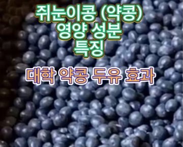 쥐눈이-콩-대학-약콩-두유-효능-다이어트-효과
