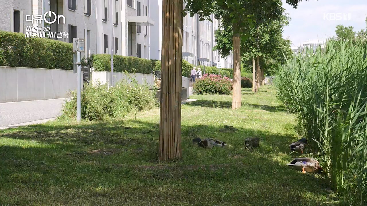 다큐 온.E256.240707p-NEXT.mp4_20240707_173046.687.jpg