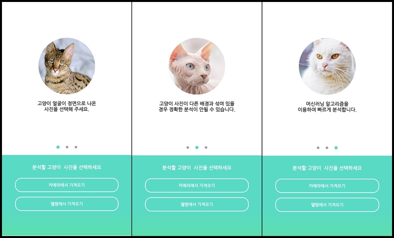 고양이를 찾아줘 앱 사용방법