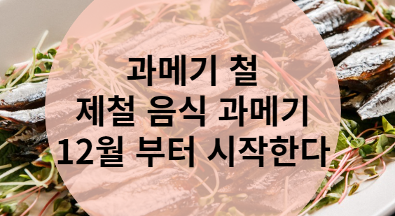  과메기 철 과메기 효능 및 칼로리 알기