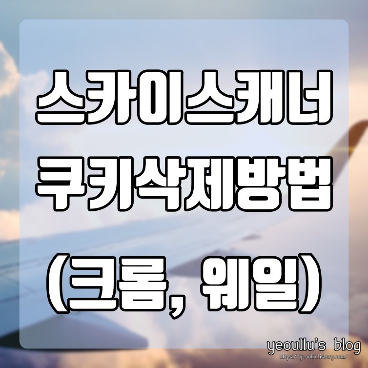  항공권 초저가 어플 스카이스캐너 쿠키 삭제 방법