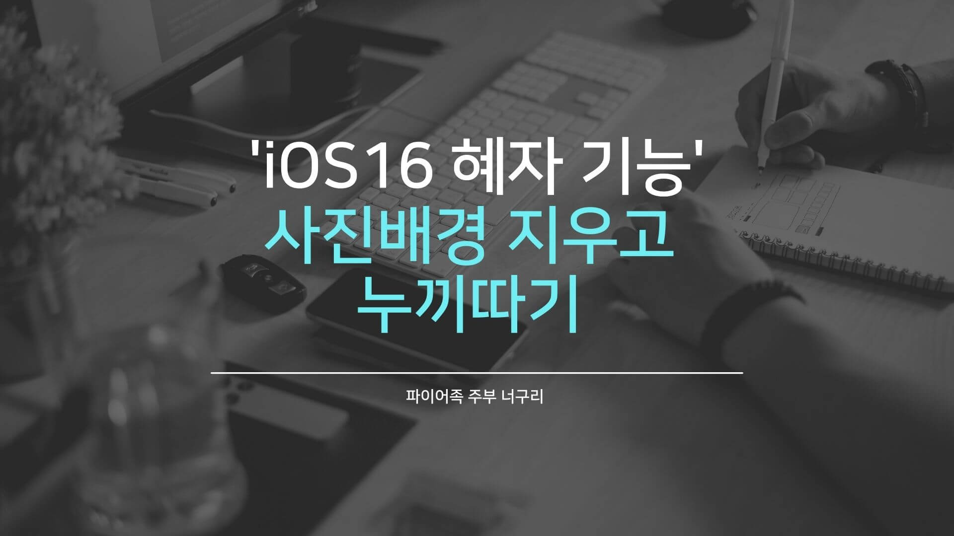iOS16기능 - 사진배경 지우고 누끼따기