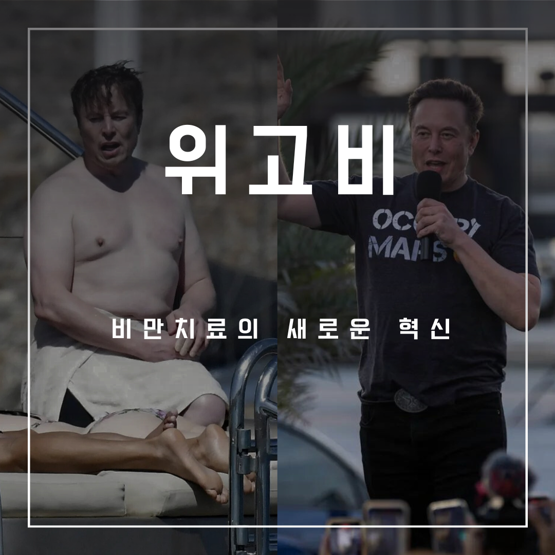  [뚱뚱한사람=가난한사람]이라는 편견이 생길까? (feat. 위고비 다이어트)