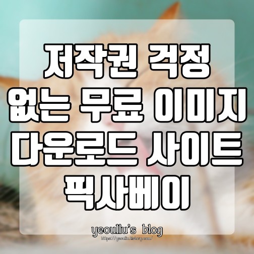  픽사베이 저작권 걱정 없는 무료 이미지 모음 사이트