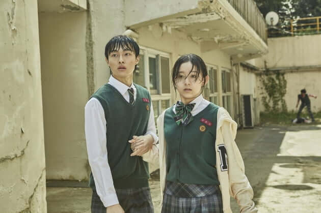 넷플릭스 새로운 요금제 정리