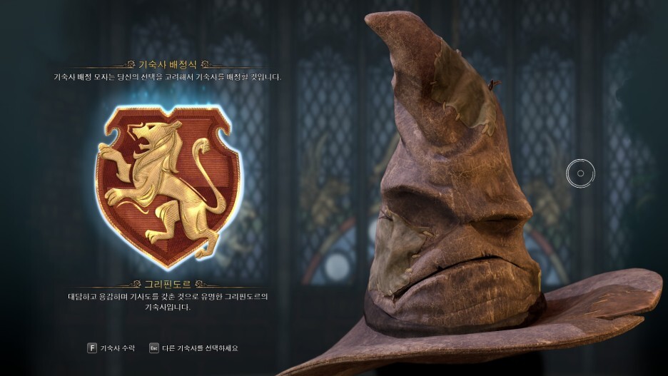 (Hogwarts Legacy) 사소한 게임 스크린샷 모음 19